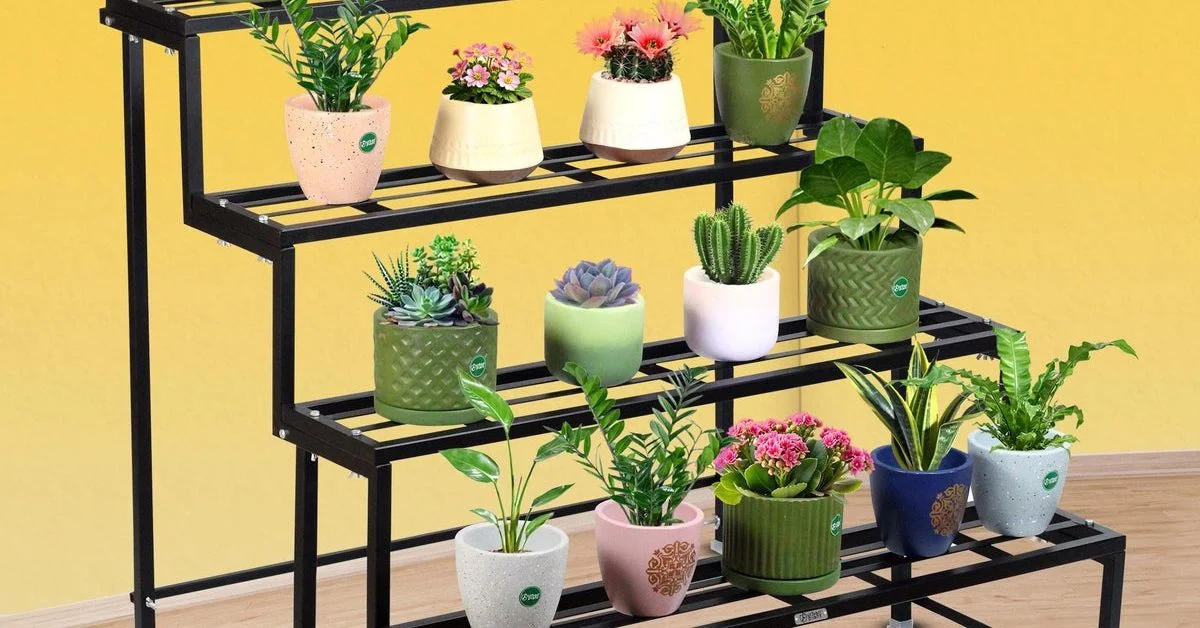 Plant Stand Indoor Amazon | ytvblog