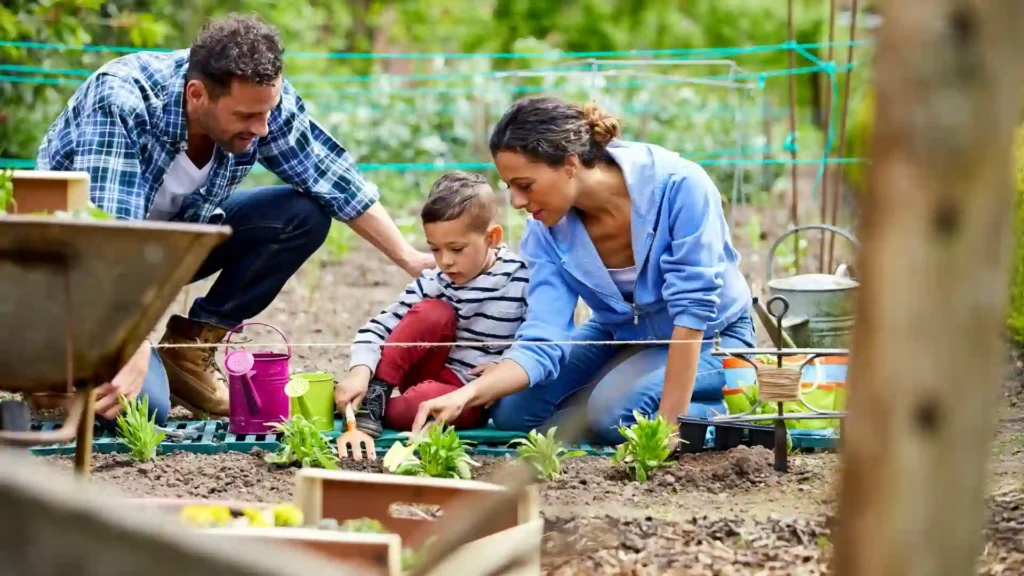 Gardening as therapy | ytvblog