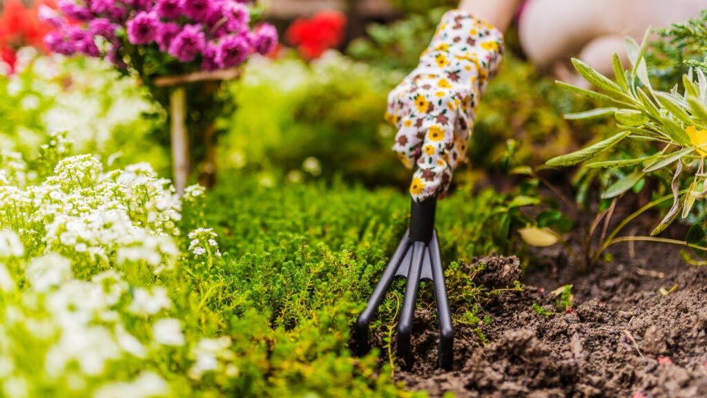 Gardening as therapy | ytvblog