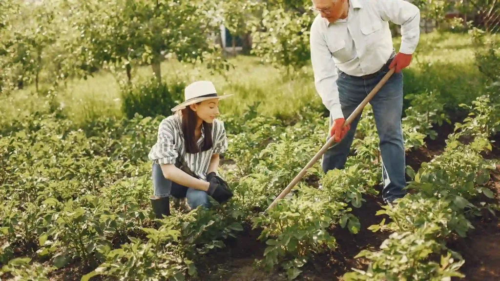 Gardening as therapy | ytvblog