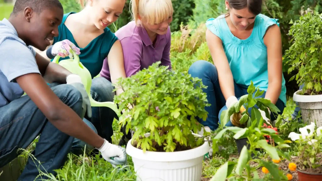 Gardening as therapy | ytvblog