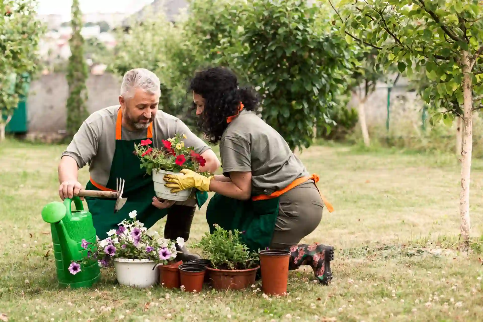 Gardening as therapy | ytvblog