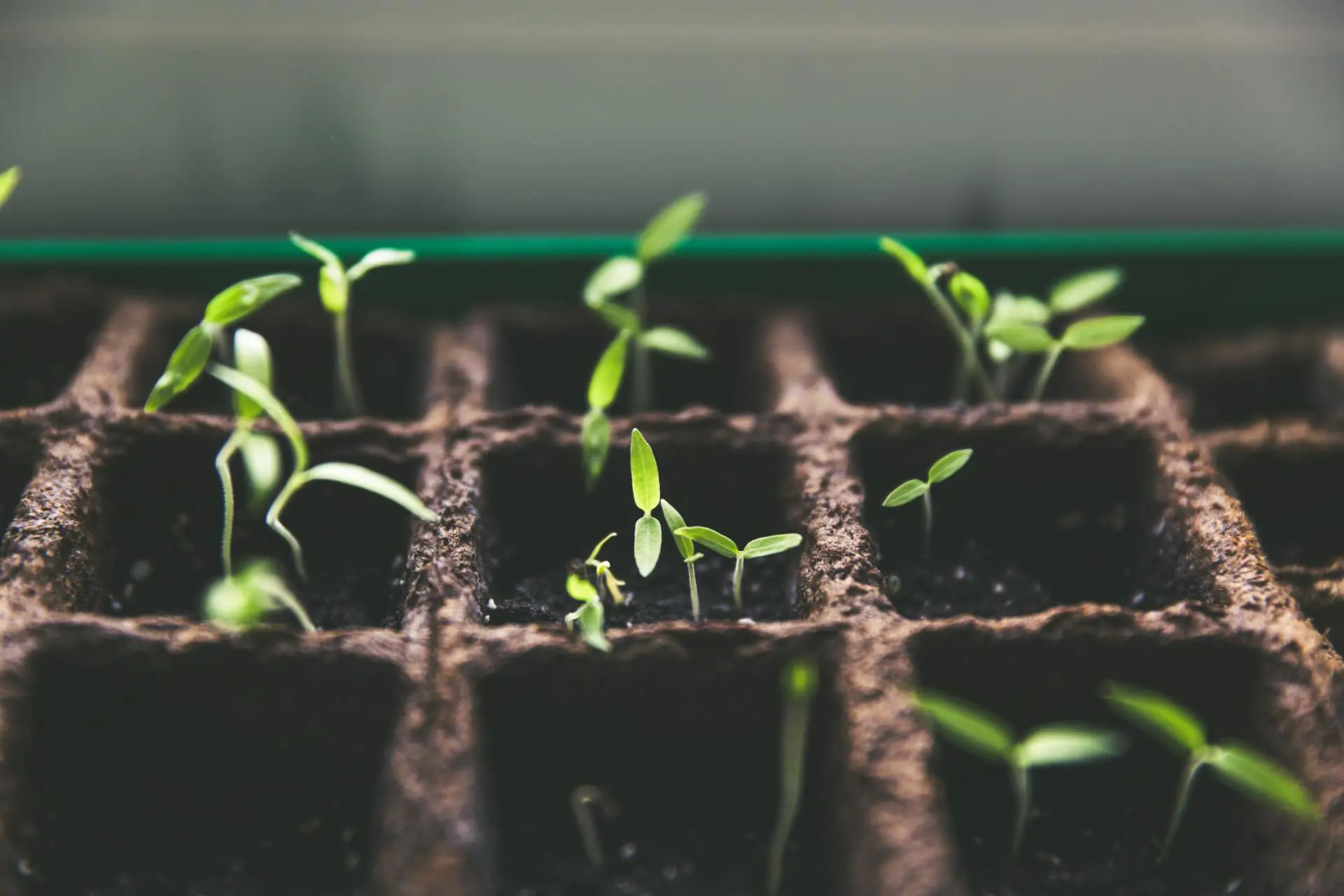 Closed-Loop Gardening | ytvblog