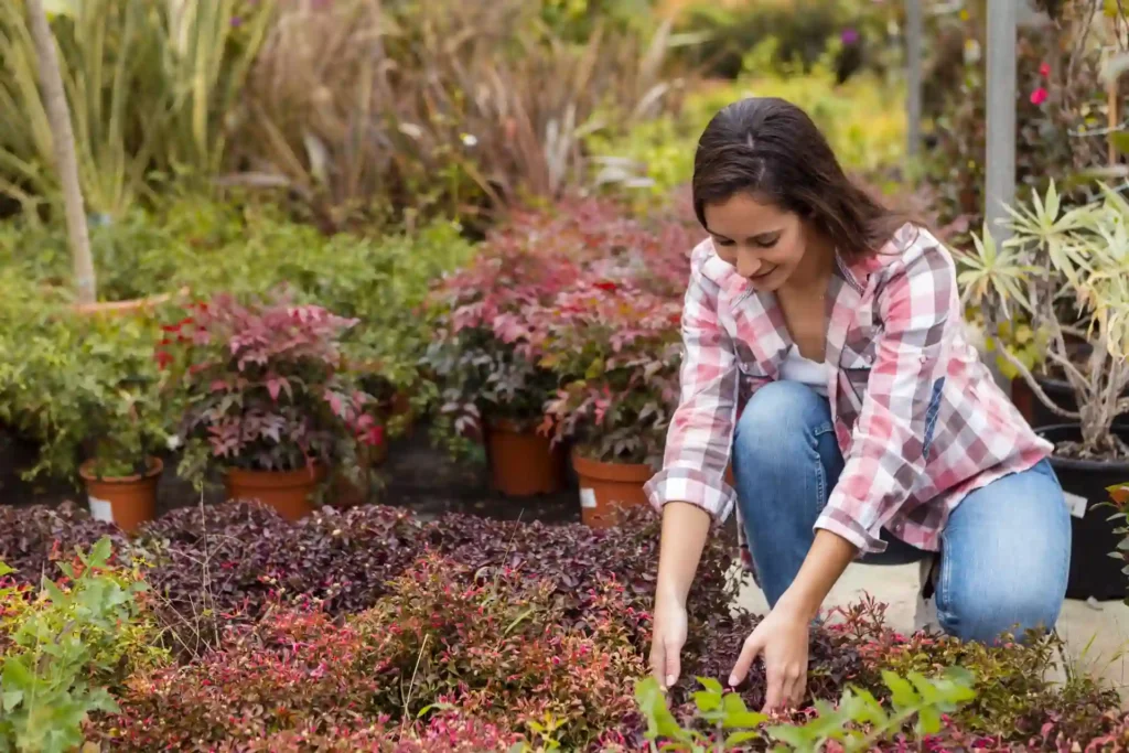 Gardening as therapy | ytvblog