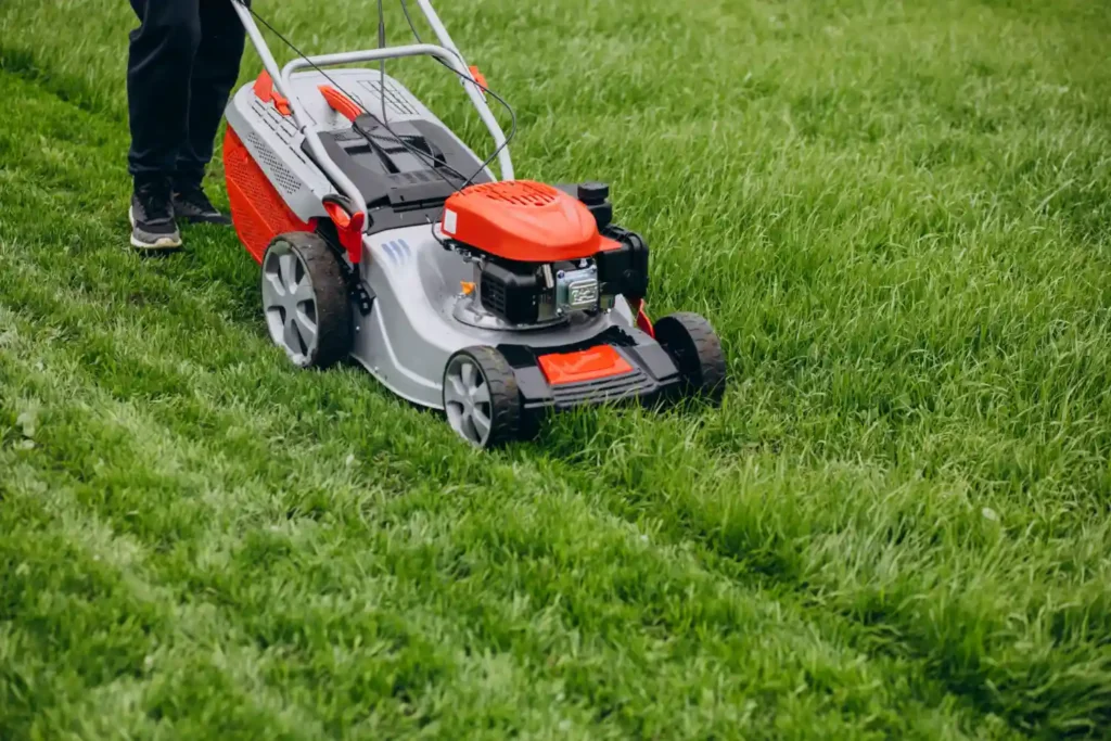 Ryobi Lawn Mower | ytvblog