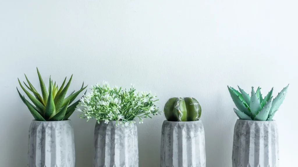 Gardening Gifts | ytvblog