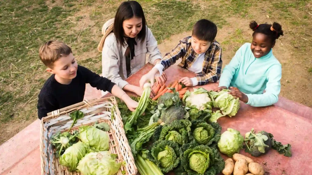 Vegetables | ytvblog