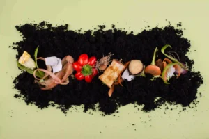 composting | ytvblog
