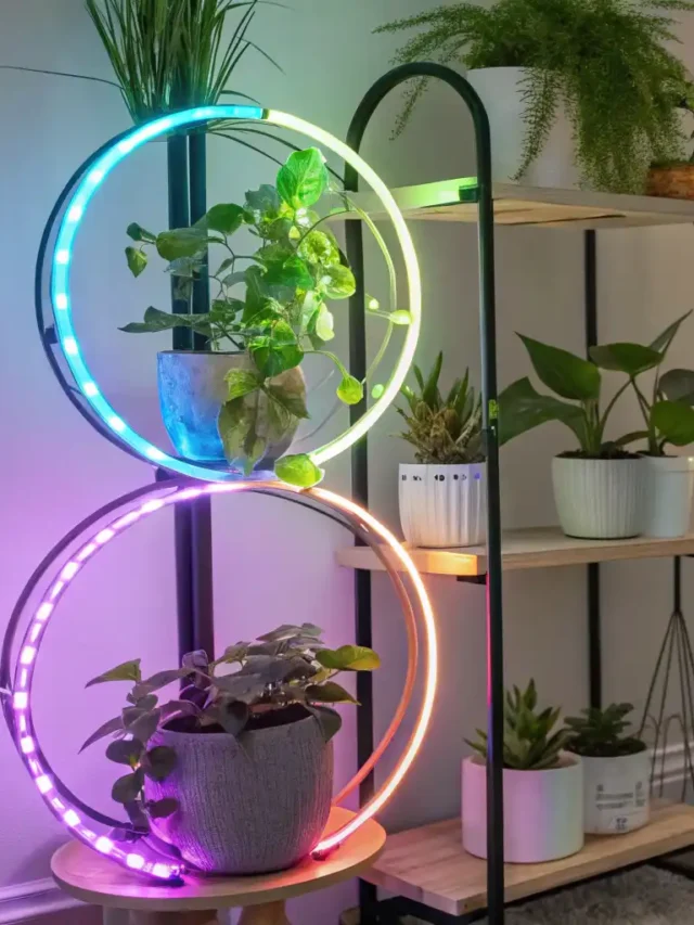 Plant Stand Lighting Options | ytvblog