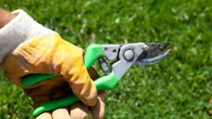 Pruning Shears | ytvblog