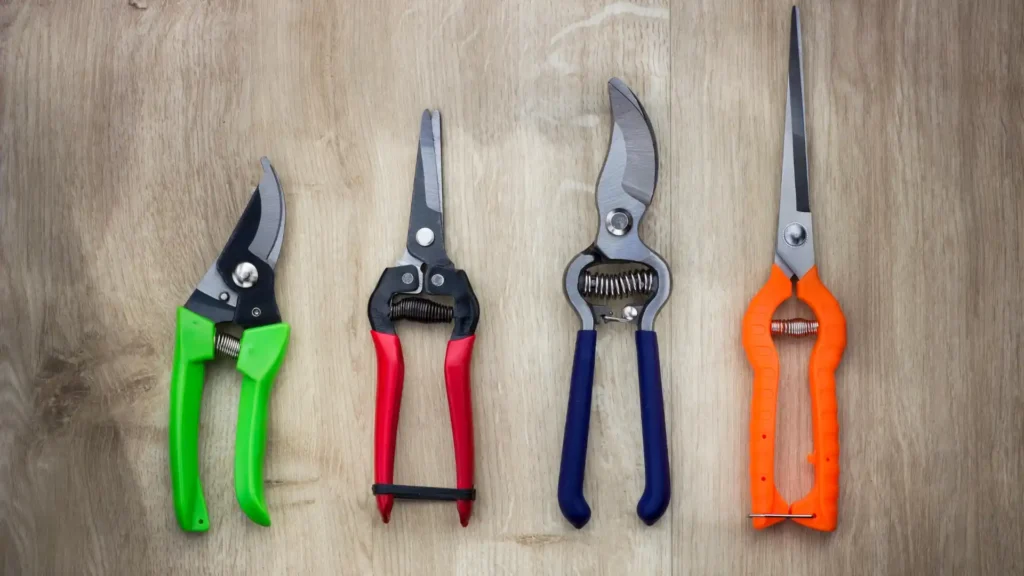 Pruning Shears | ytvblog