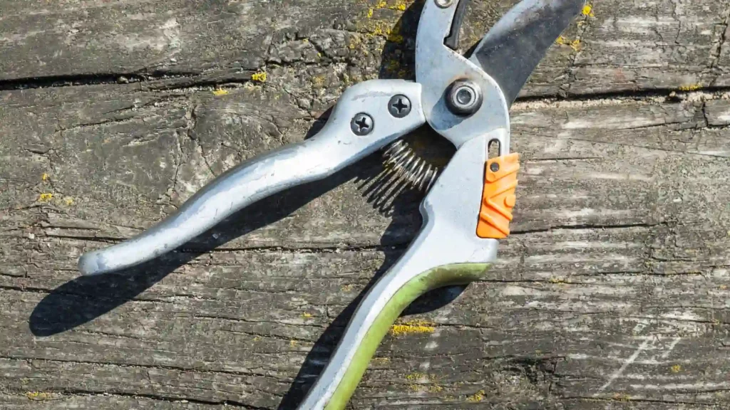 Pruning Shears | ytvblog
