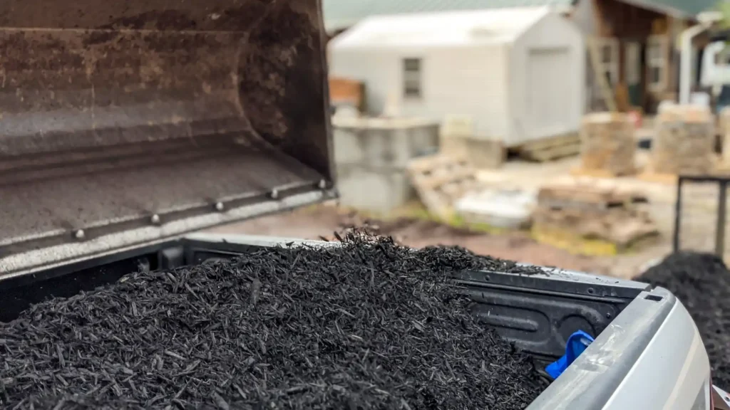 Black Mulch | ytvblog