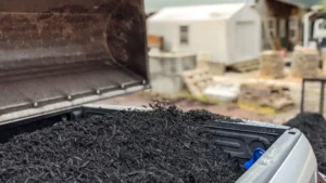 Black Mulch | ytvblog
