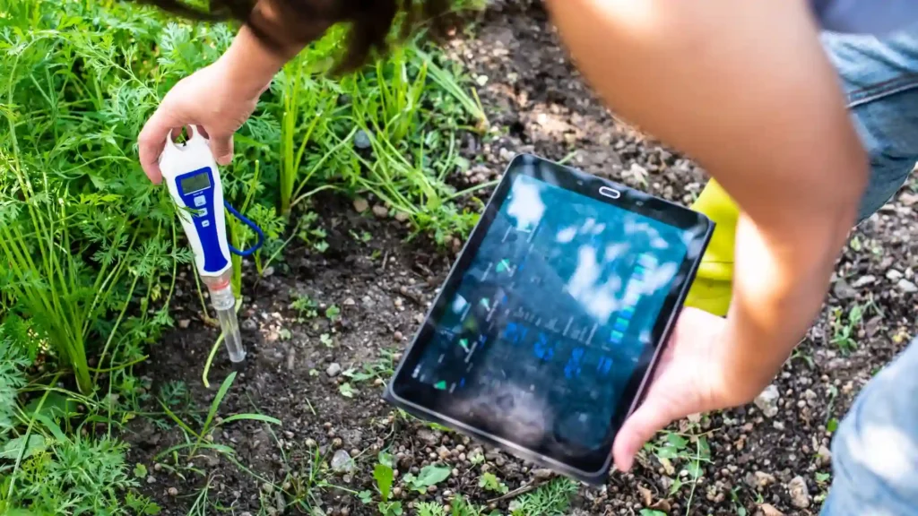 Garden Soil | ytvblog