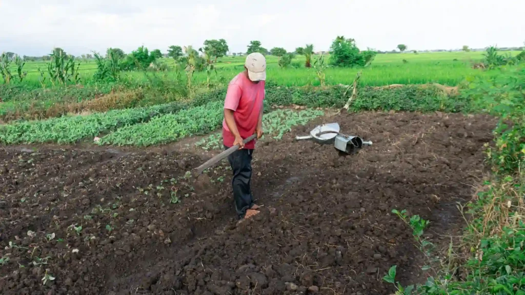 Garden Soil | ytvblog