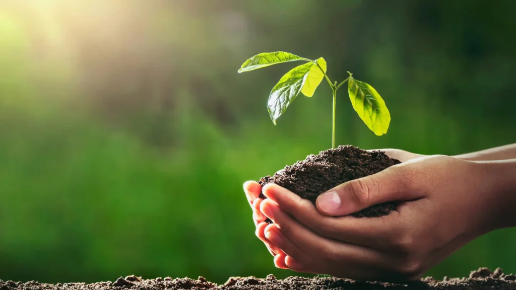 Garden Soil | ytvblog