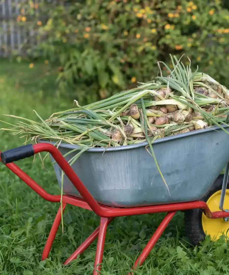 Garden Cart | ytvblog