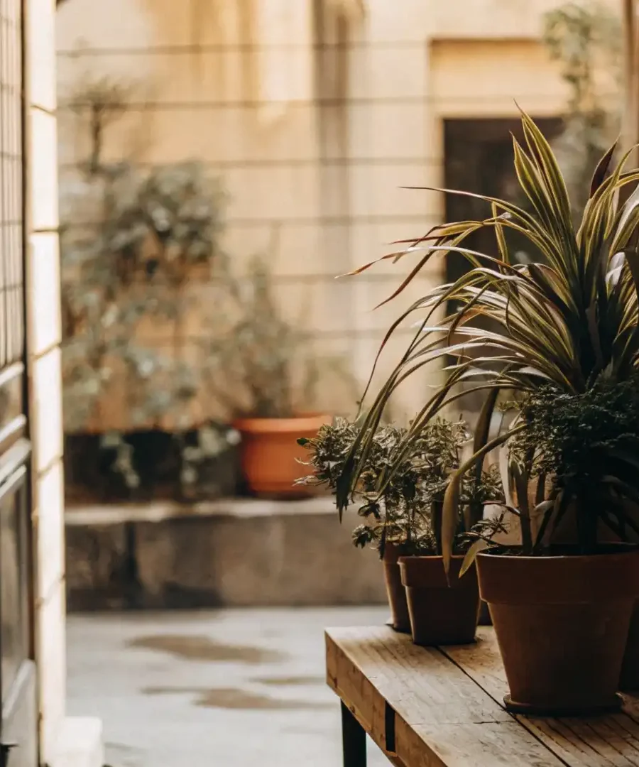 Gardening Gifts | ytvblog