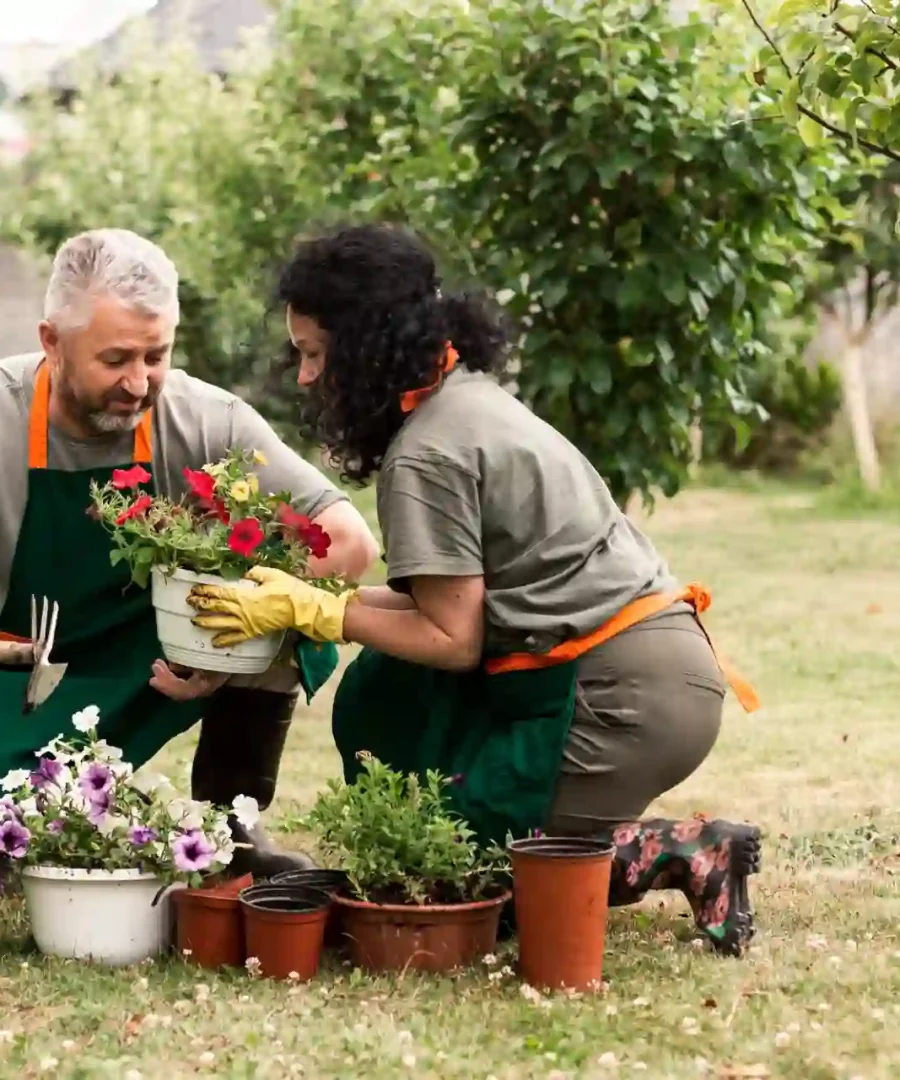 Gardening as therapy | ytvblog