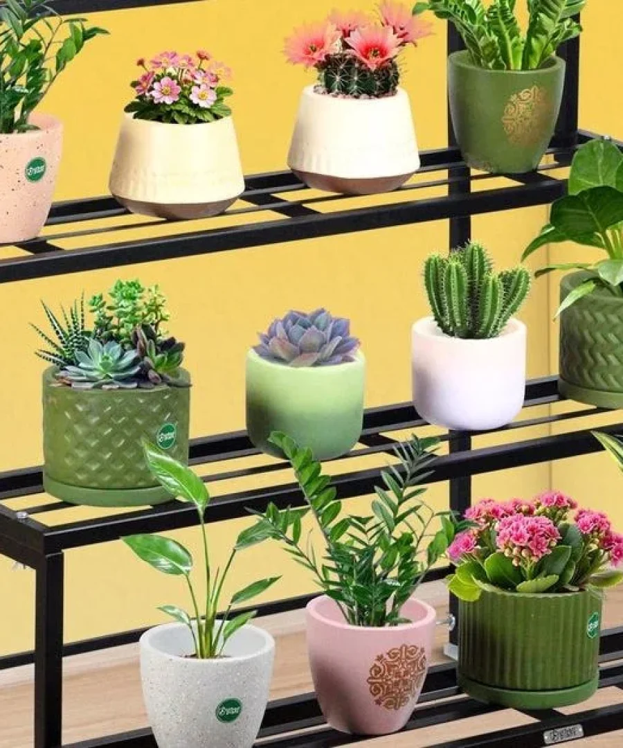 Plant Stand Indoor Amazon | ytvblog