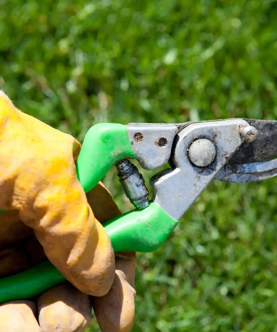 Pruning Shears | ytvblog
