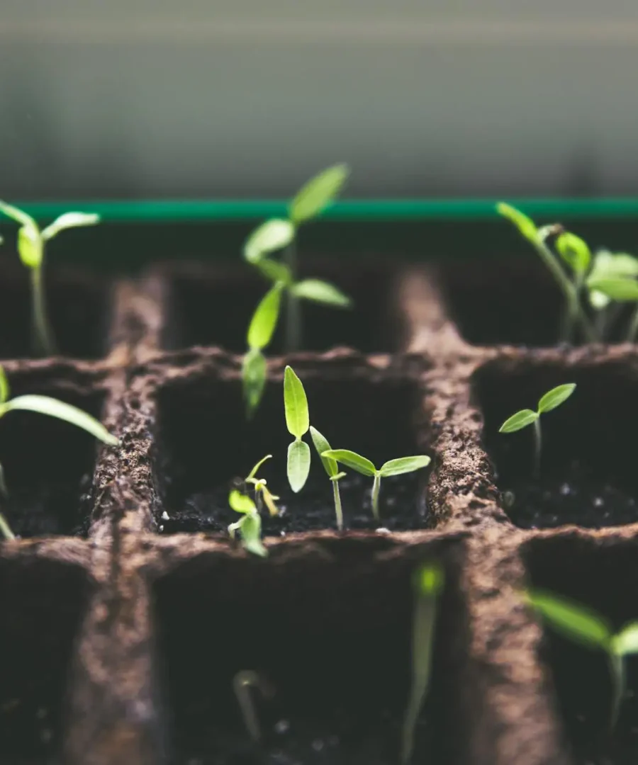 Closed-Loop Gardening | ytvblog