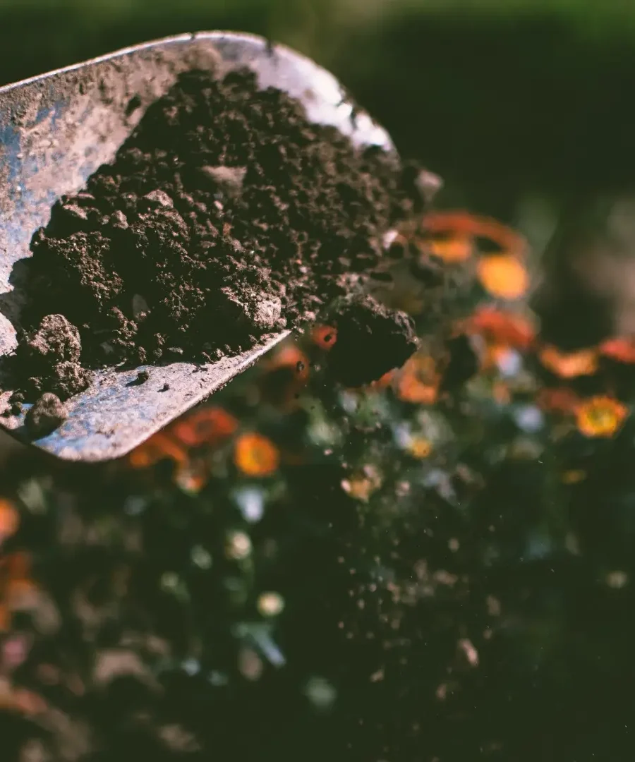 The Joy of Do-It-Yourself Gardening | ytvblog