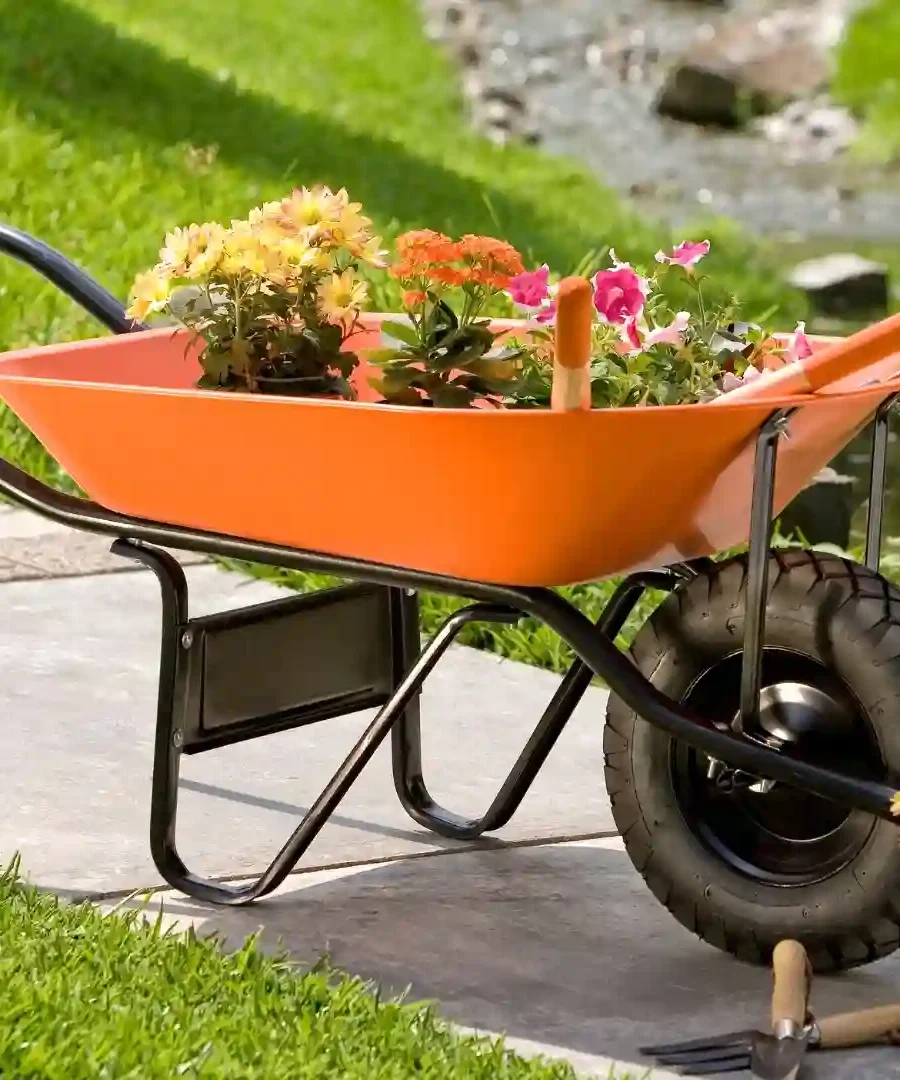 Wheelbarrow | ytvblog